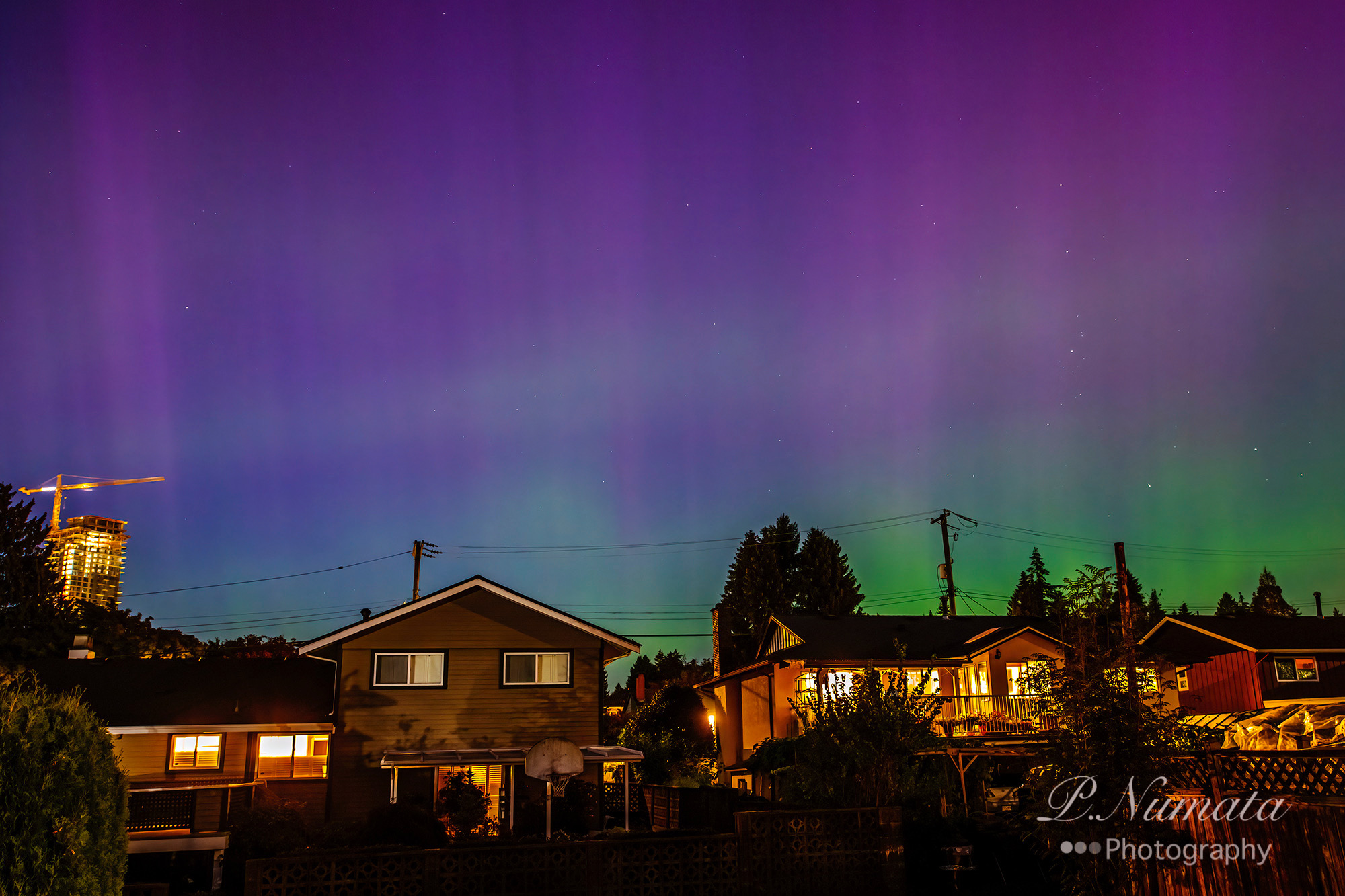 Northern Lights on Ivy